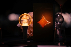 Cập nhật chính sách bán hàng phân khu Phú Quý dự án Vlasta Thủy Nguyên Hải Phòng