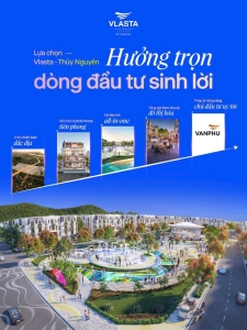 Tác động dài hạn của hình thức sở hữu sản phẩm tại Vlasta Thủy Nguyên