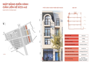 Giải mã mặt bằng căn điển hình tại Vlasta Thủy Nguyên: nhà liền kề 67,5m²